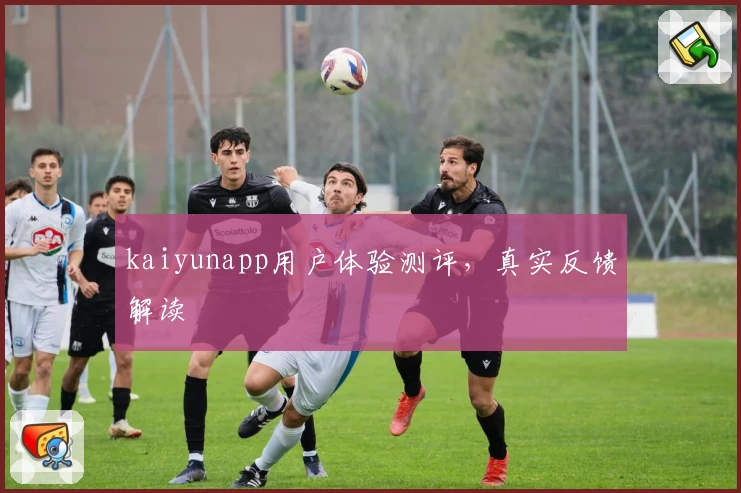 kaiyunapp用户体验测评，真实反馈解读